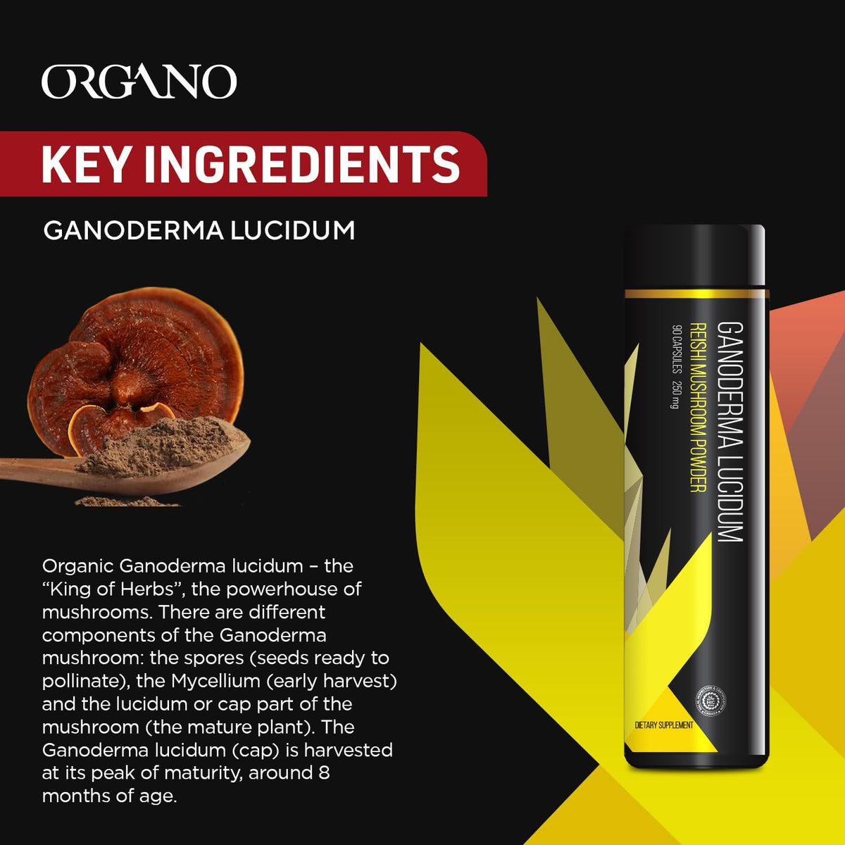 Organo OGX Organic Ganoderma Lucidum 90-Count